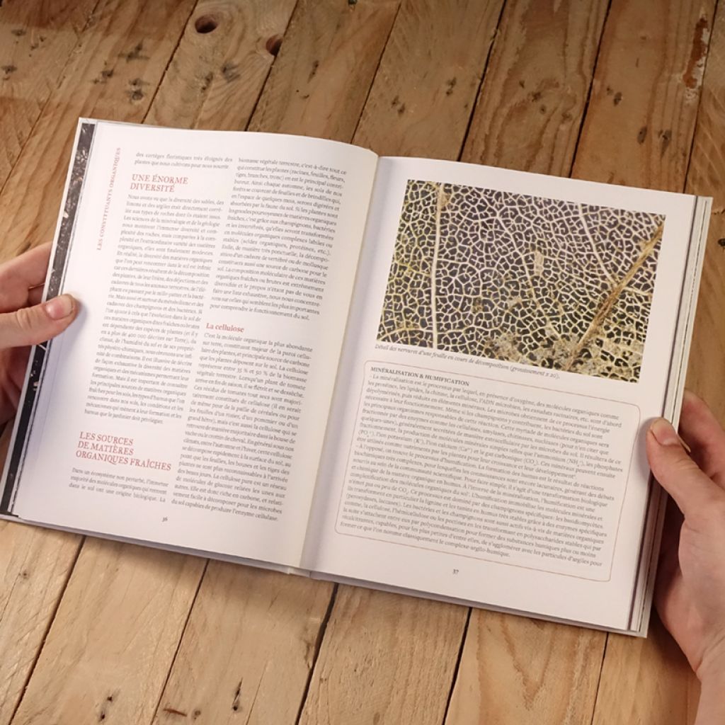 Prendre soin de son sol - Mieux le comprendre, le fertiliser et favoriser la vie