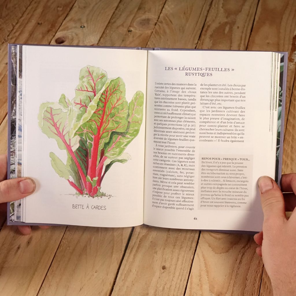 Produire des légumes en hiver - même sans abri