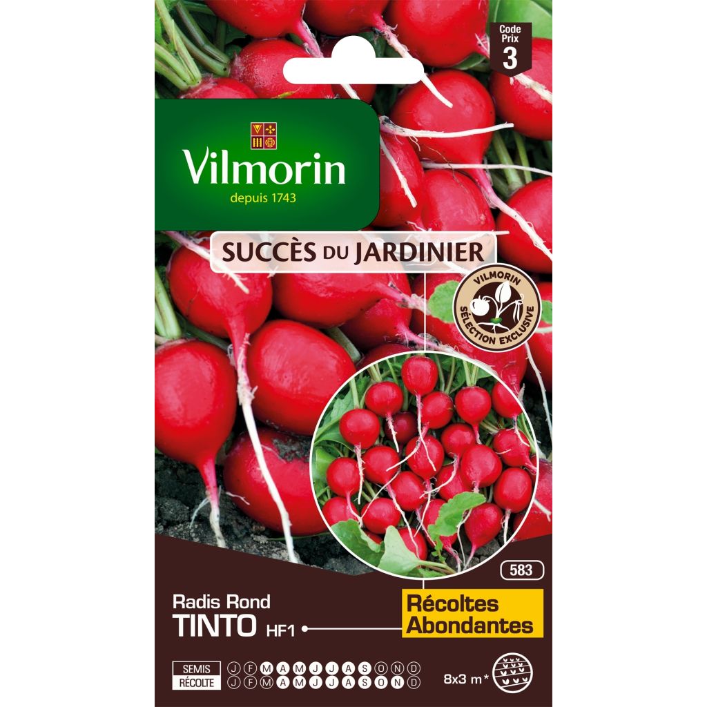 Radis Tinto F1 (Création Vilmorin)  - Vilmorin