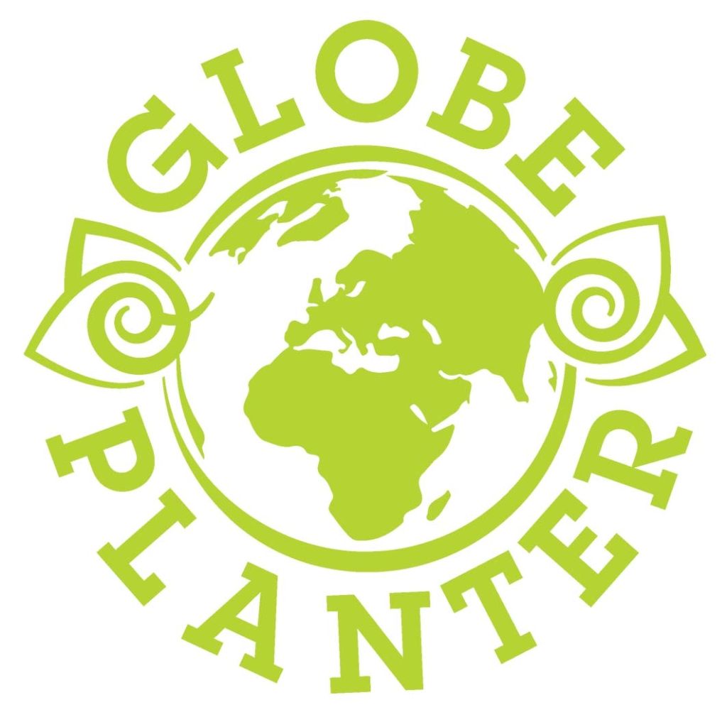 Sempervivum Chick Charms ® Cherry Berry - Joubarbe hybride rouge et verte