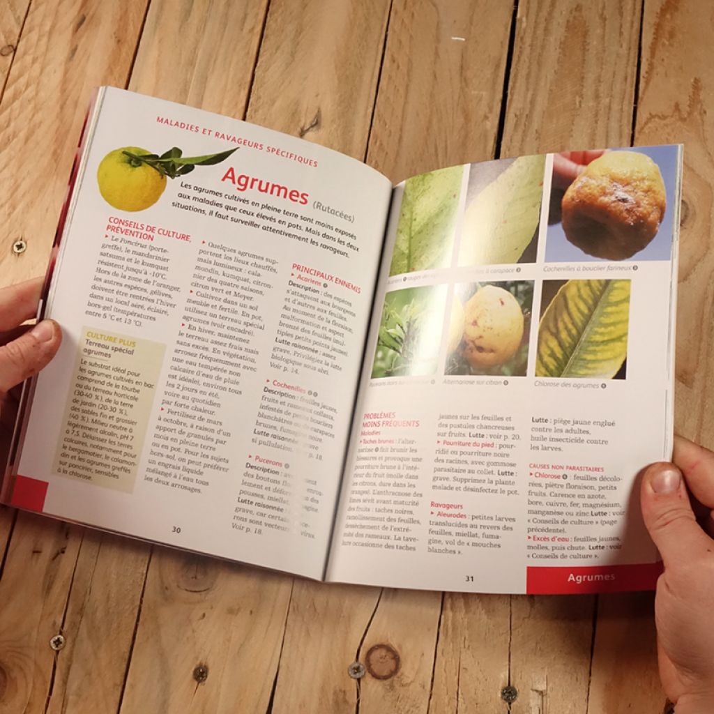 Soigner bio tous les fruitiers