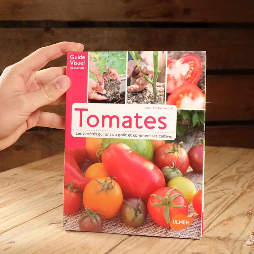 Tomates. Les variétés qui ont du goût et comment les cultiver