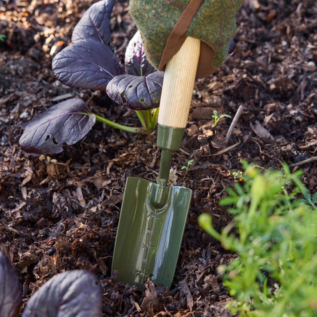 Transplantoir gradué BoronGreen Burgon and Ball - Gamme RHS