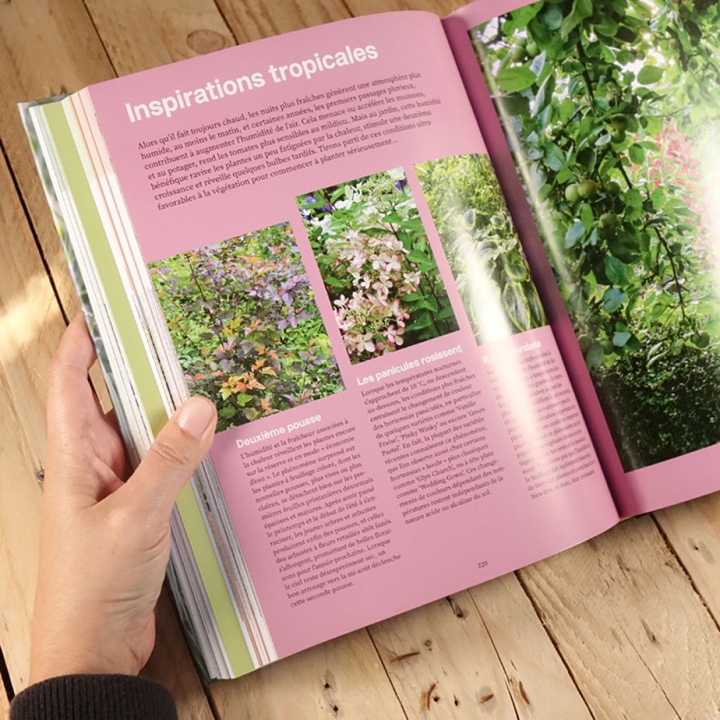 Une année au jardin avec un dingue de plantes - Idées et solutions inspirées de la nature