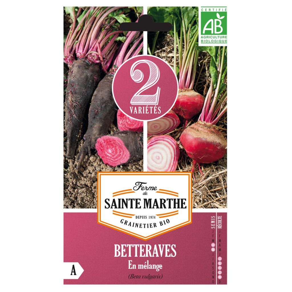 Betteraves en mélange (Crapaudine et Chioggia) - Ferme de Ste Marthe
