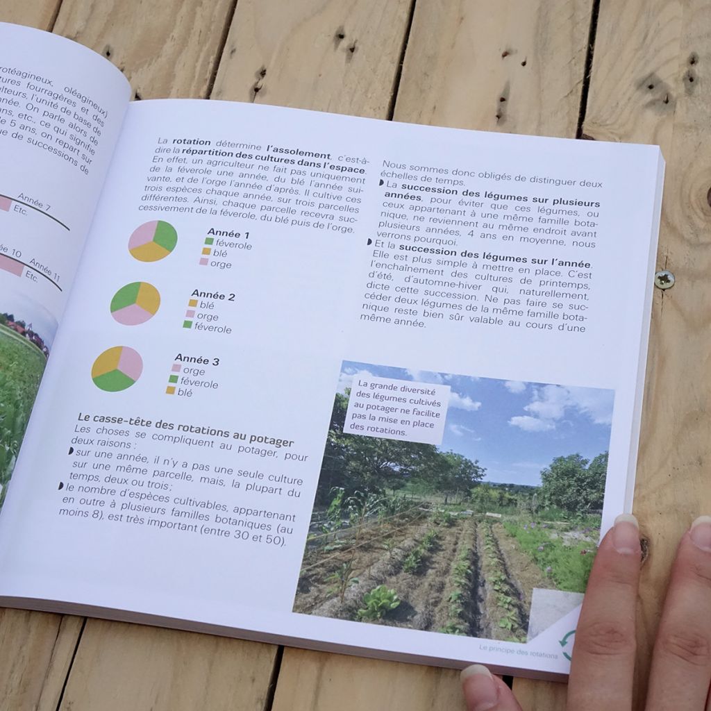 Faites tourner ! Les rotations dans mon potager