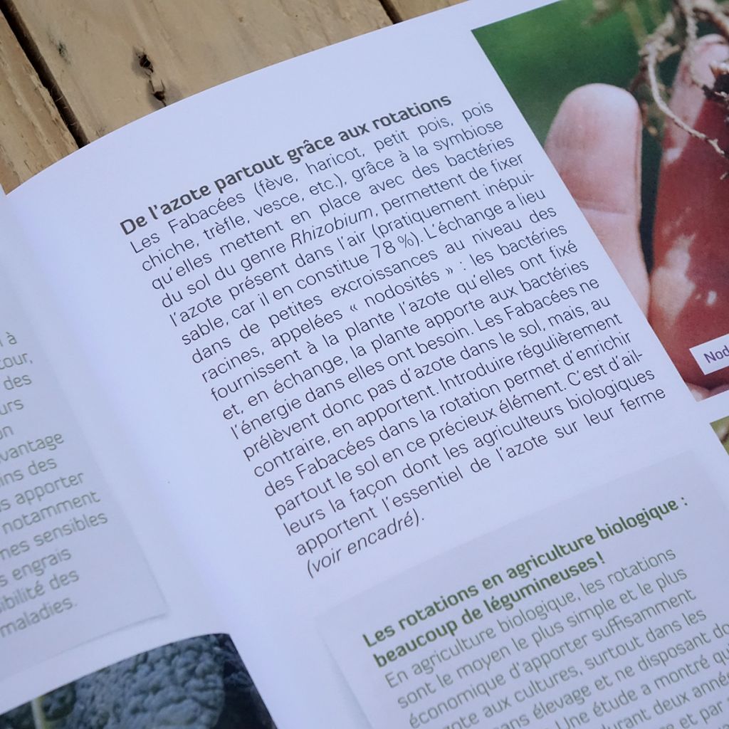 Faites tourner ! Les rotations dans mon potager