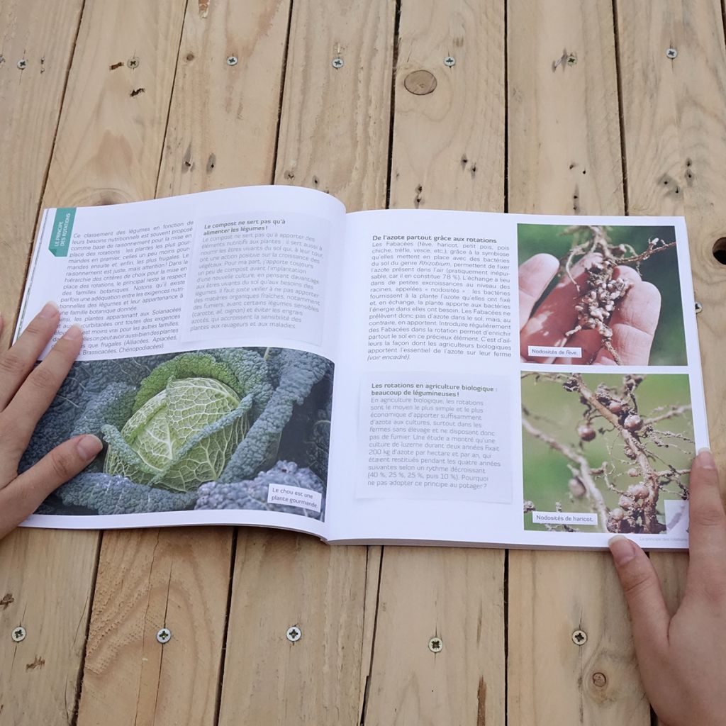 Faites tourner ! Les rotations dans mon potager