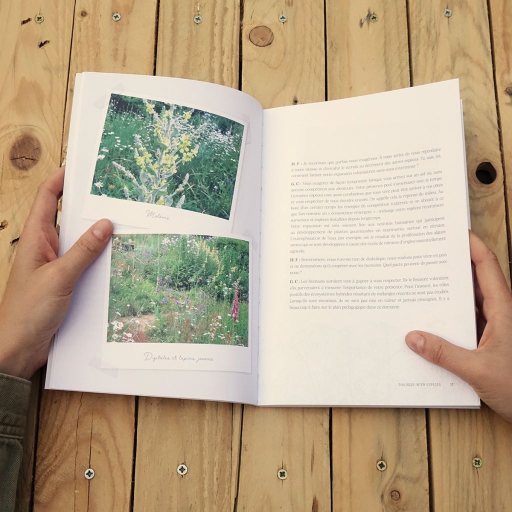 Herbes folles au jardin de Gilles Clément