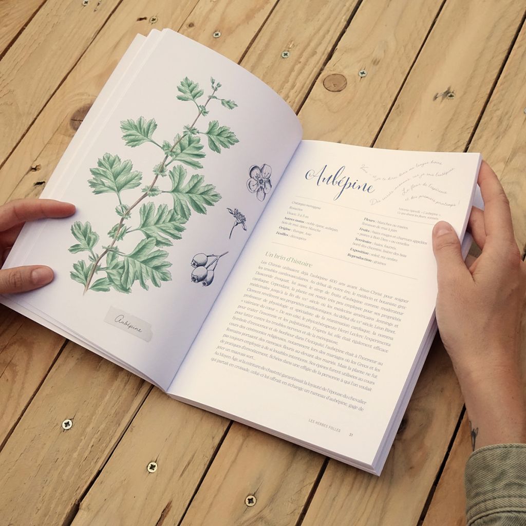Herbes folles au jardin de Gilles Clément