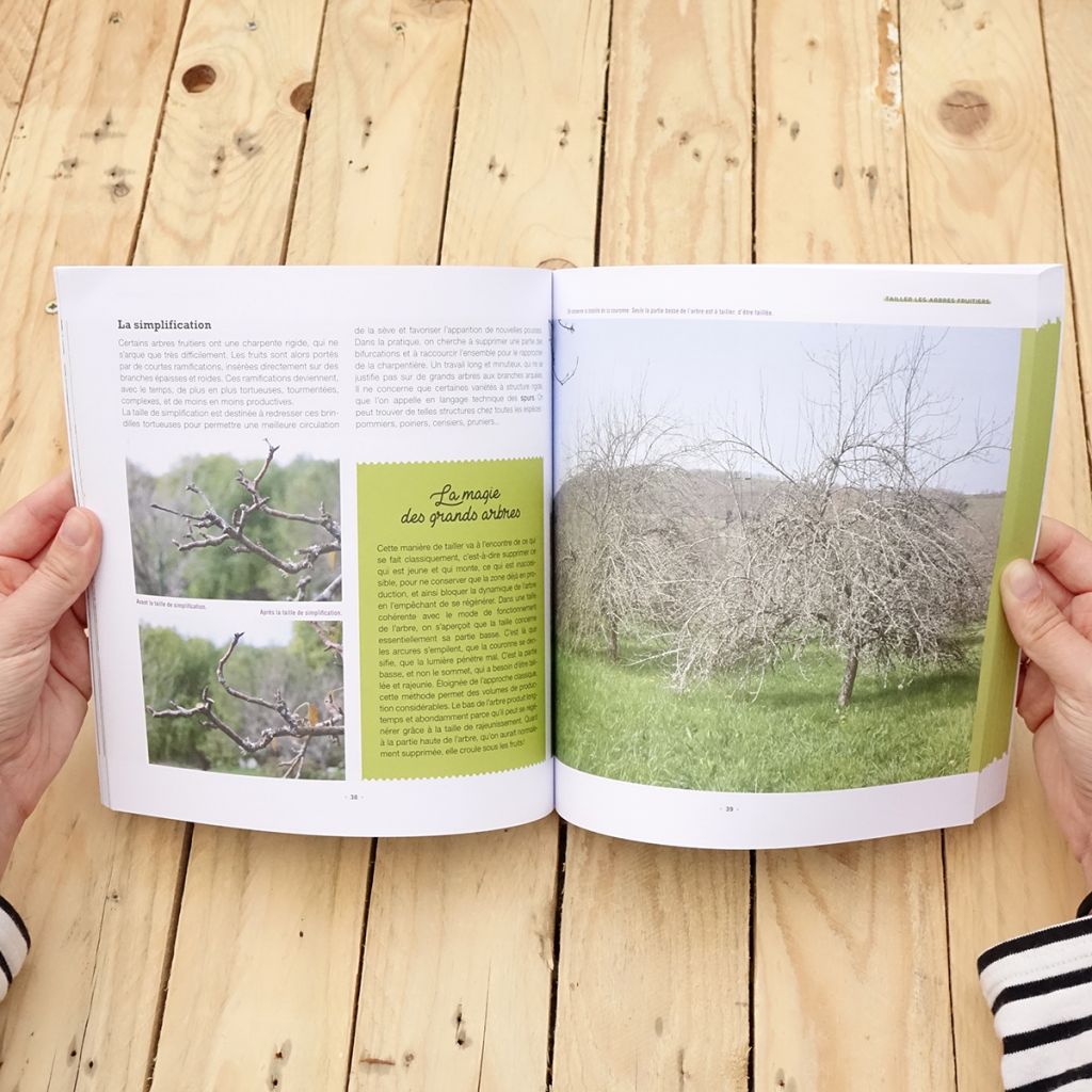 J'apprends à tailler mes arbres
