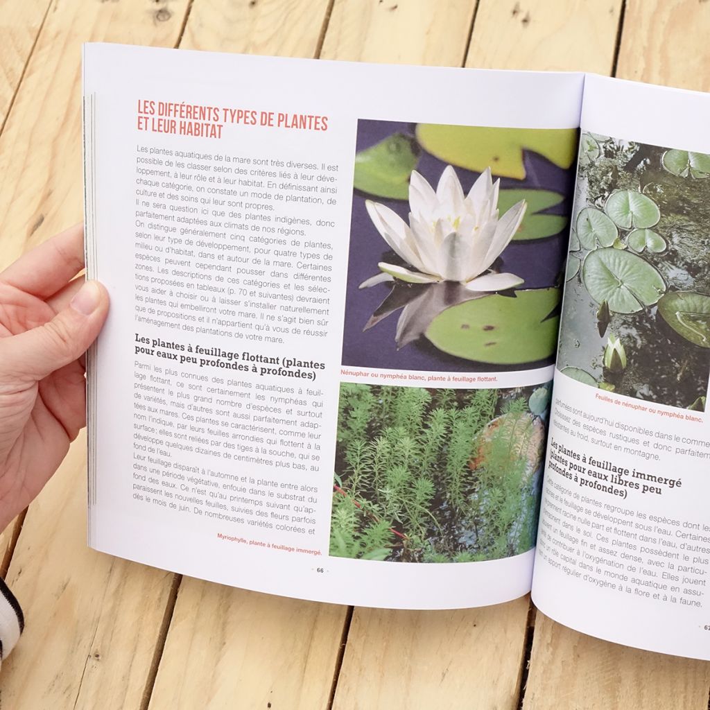 Je crée ma mare naturelle