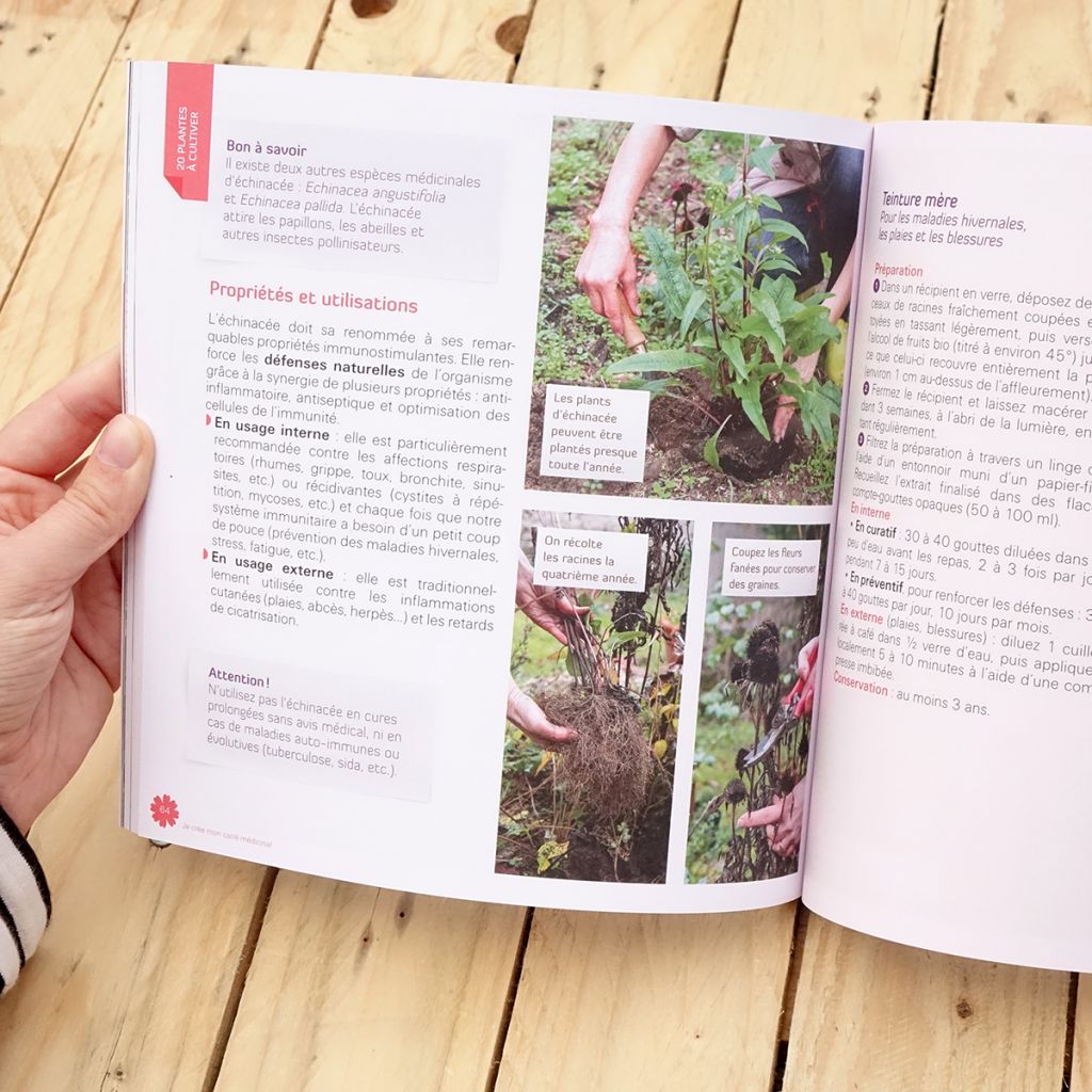 Je crée mon carré médicinal