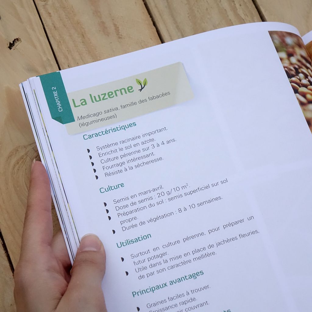 Je sème des engrais verts