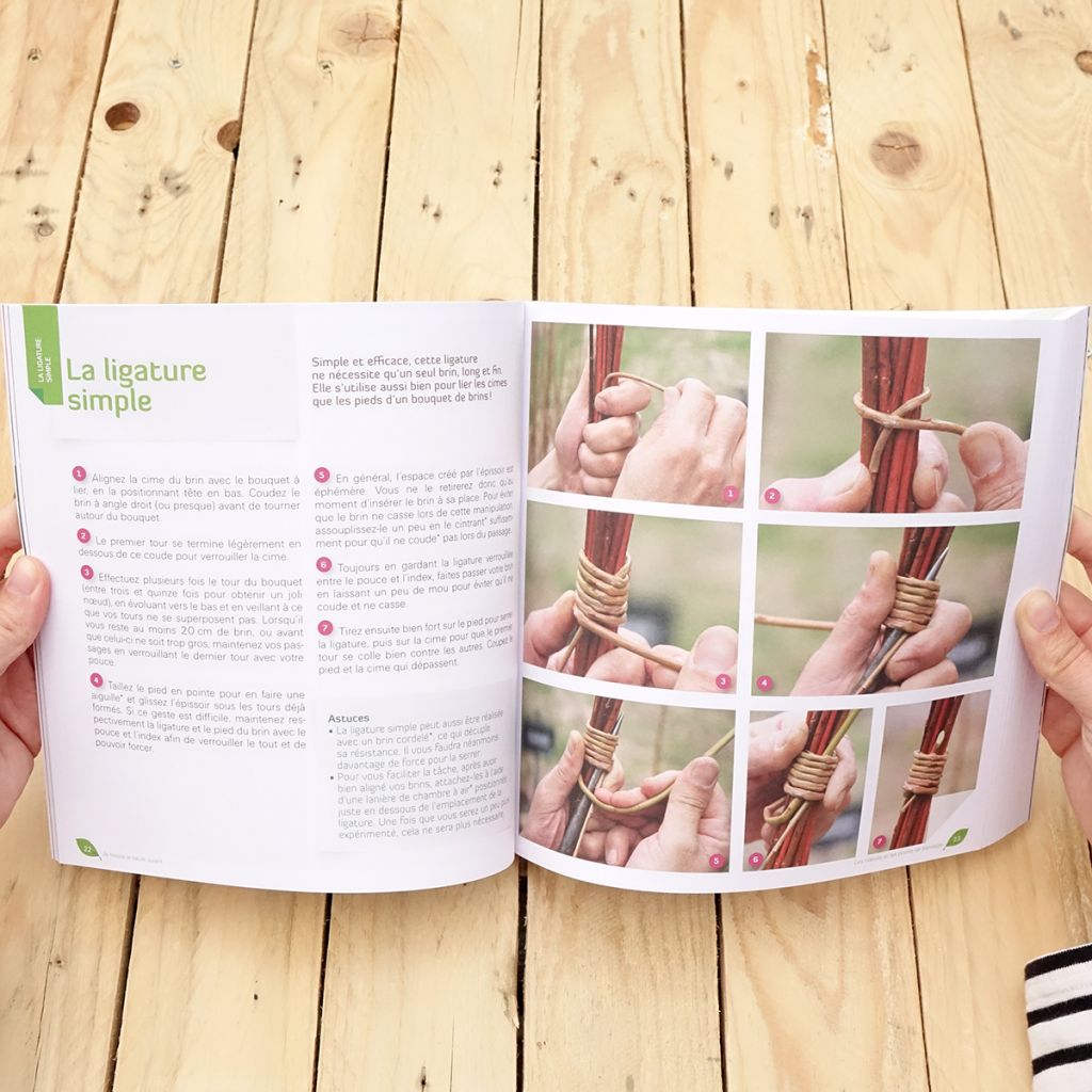 Je tresse le saule vivant