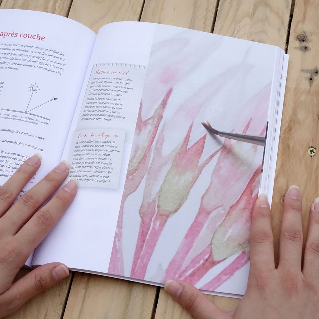 Le dessin botanique de A à Z