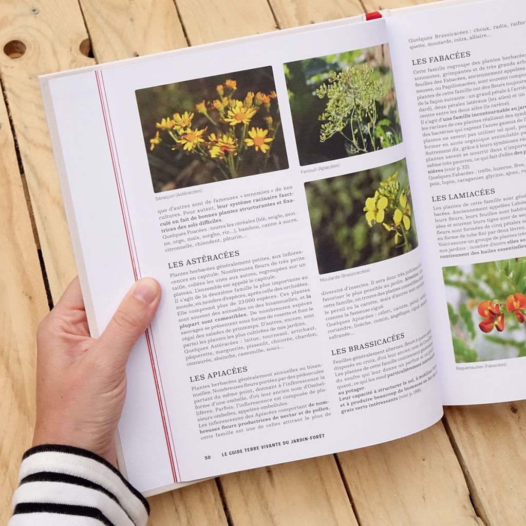 Le Guide Terre vivante du jardin forêt - Le Jardin d'Emerveille