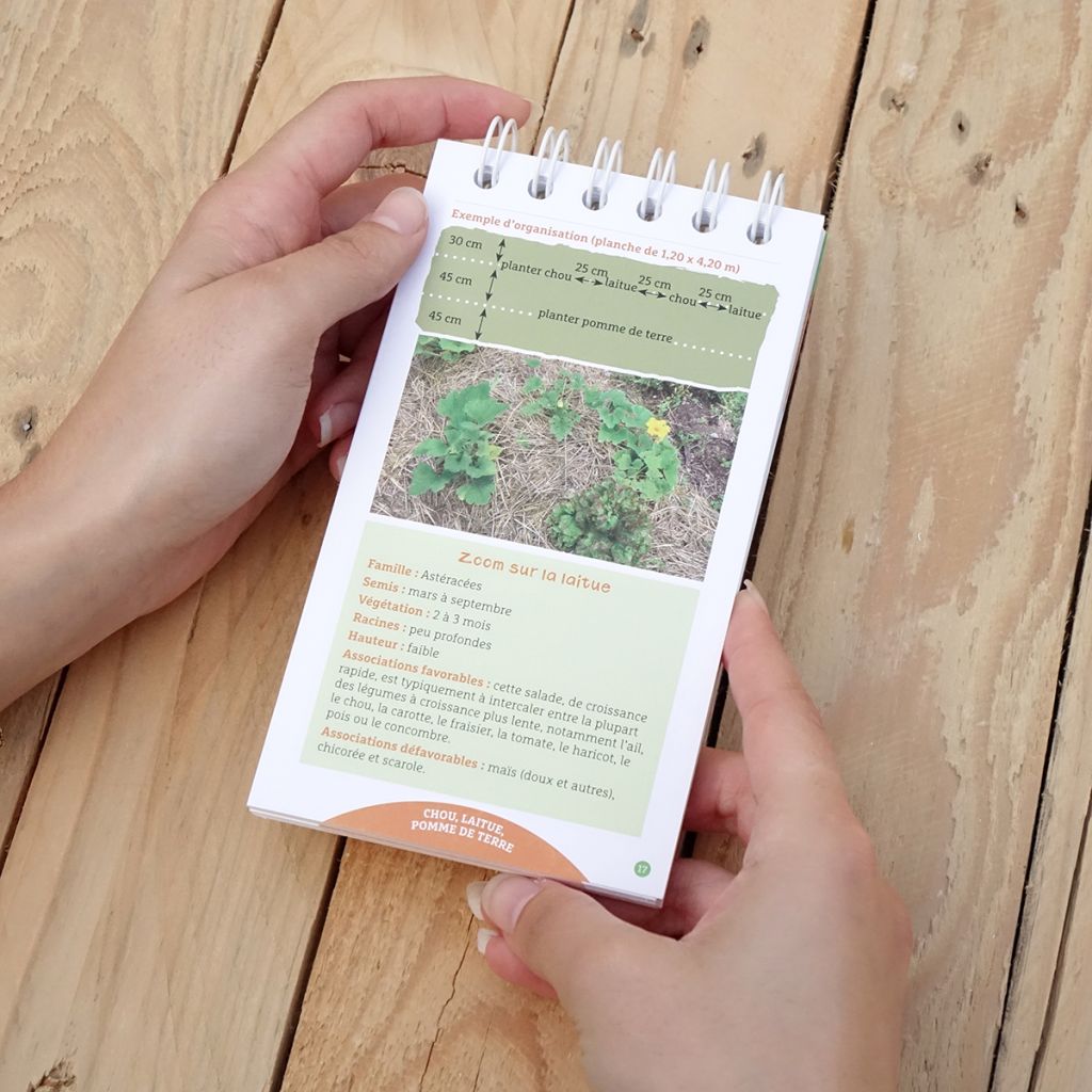 Les antisèches de Terre vivante : Associations au potager