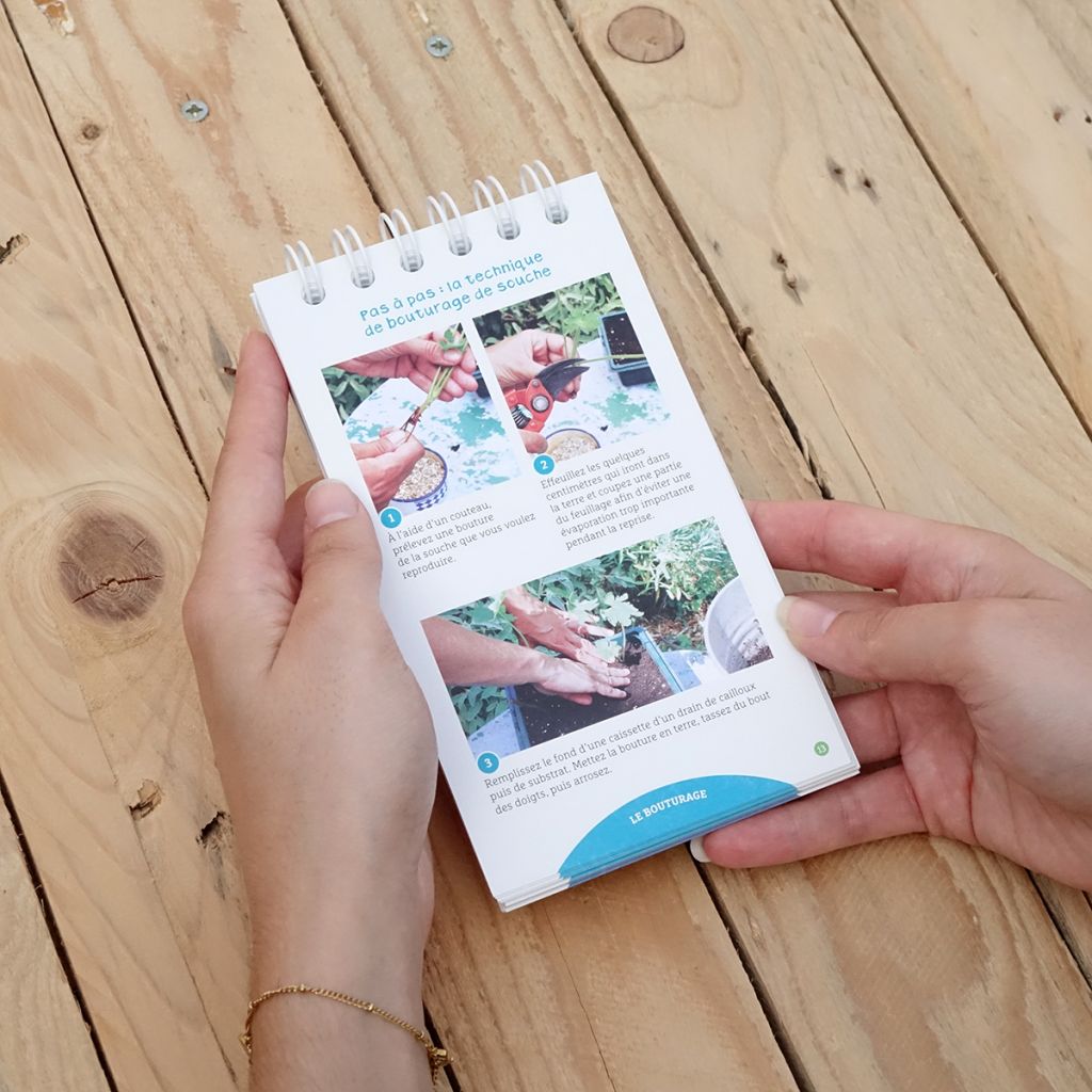 Les antisèches de Terre vivante : Boutures et compagnie