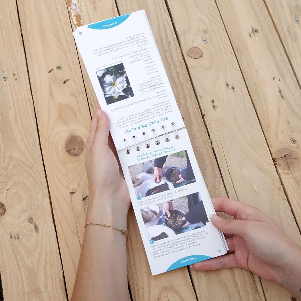 Les antisèches de Terre vivante : Boutures et compagnie