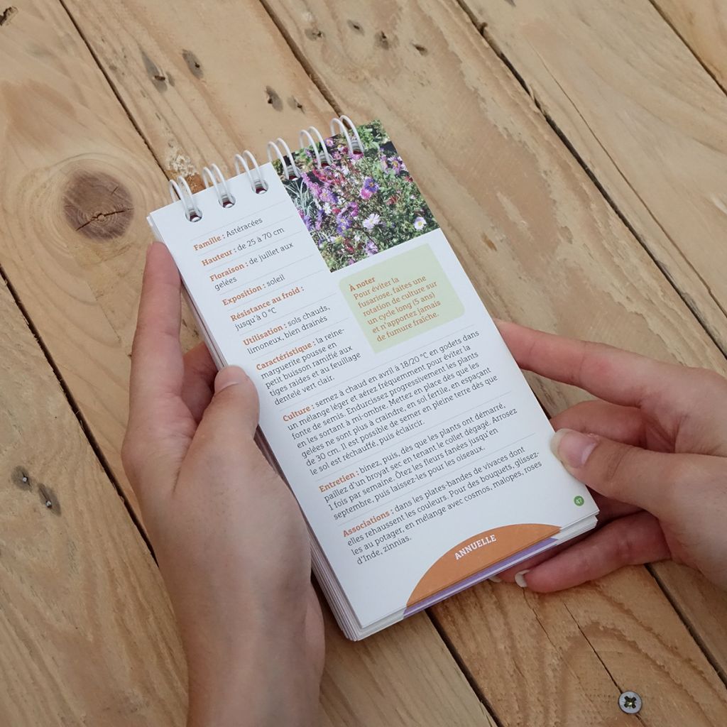 Les antisèches de Terre vivante : Fleurs d'automne et d'hiver