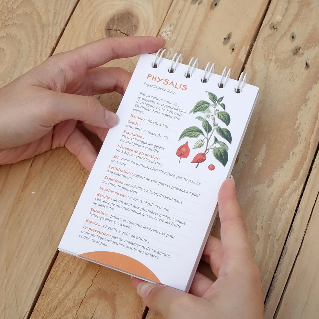 Les antisèches de Terre vivante : Fruits & petits fruits