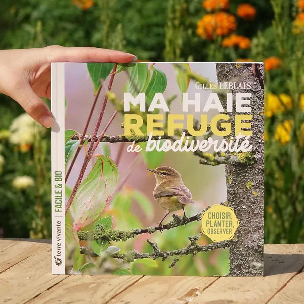 Ma haie, refuge de biodiversité