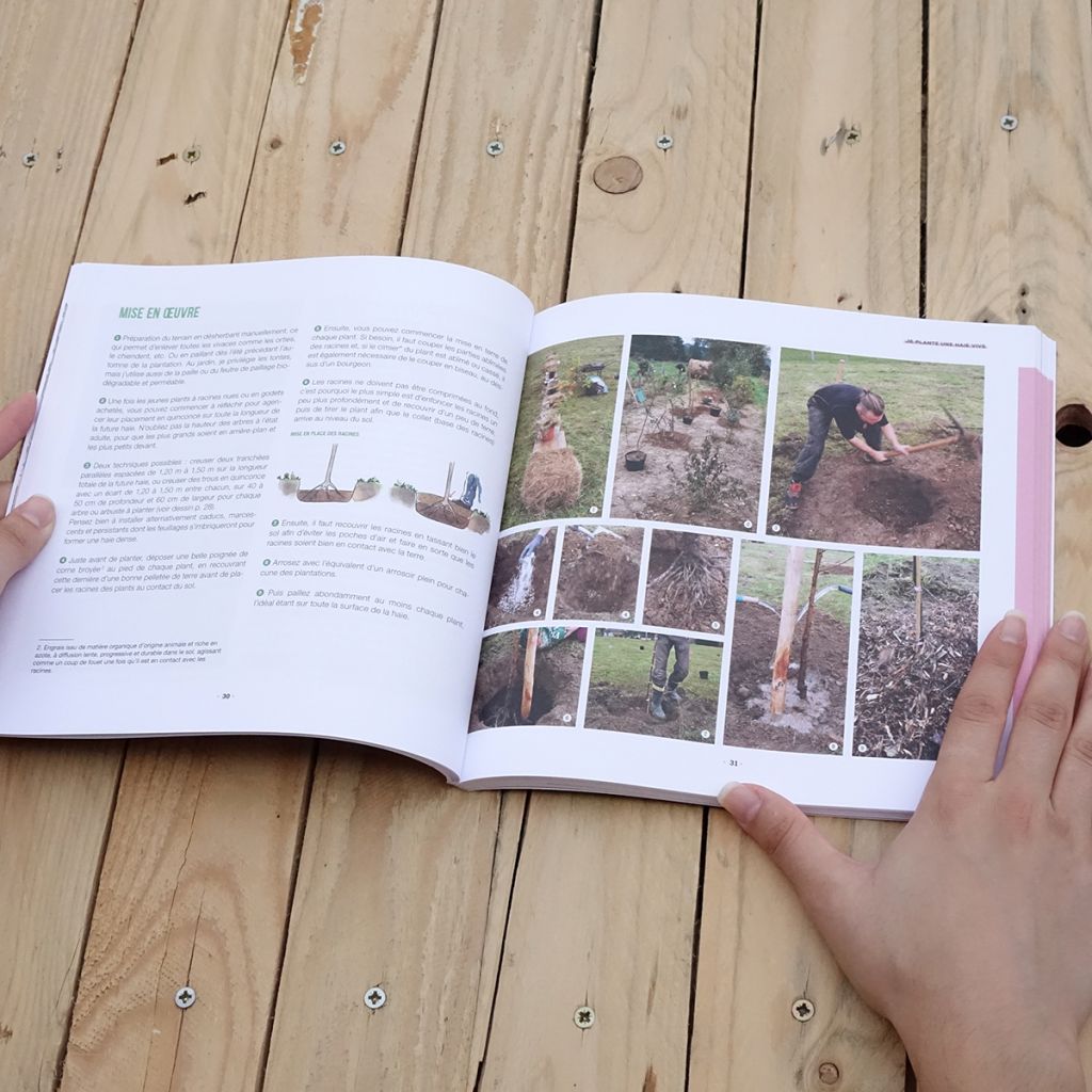 Ma haie, refuge de biodiversité
