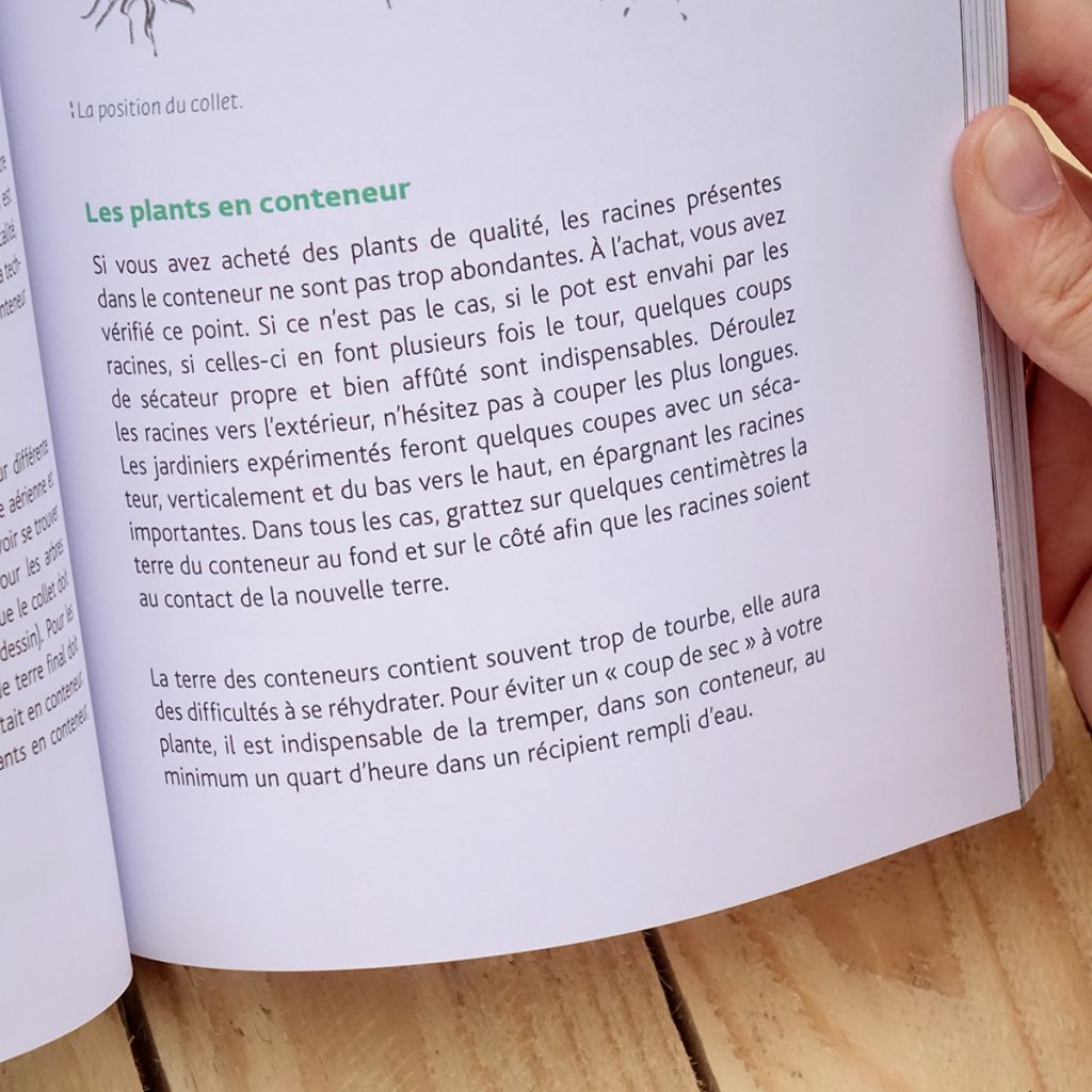 Plantez votre haie naturelle !