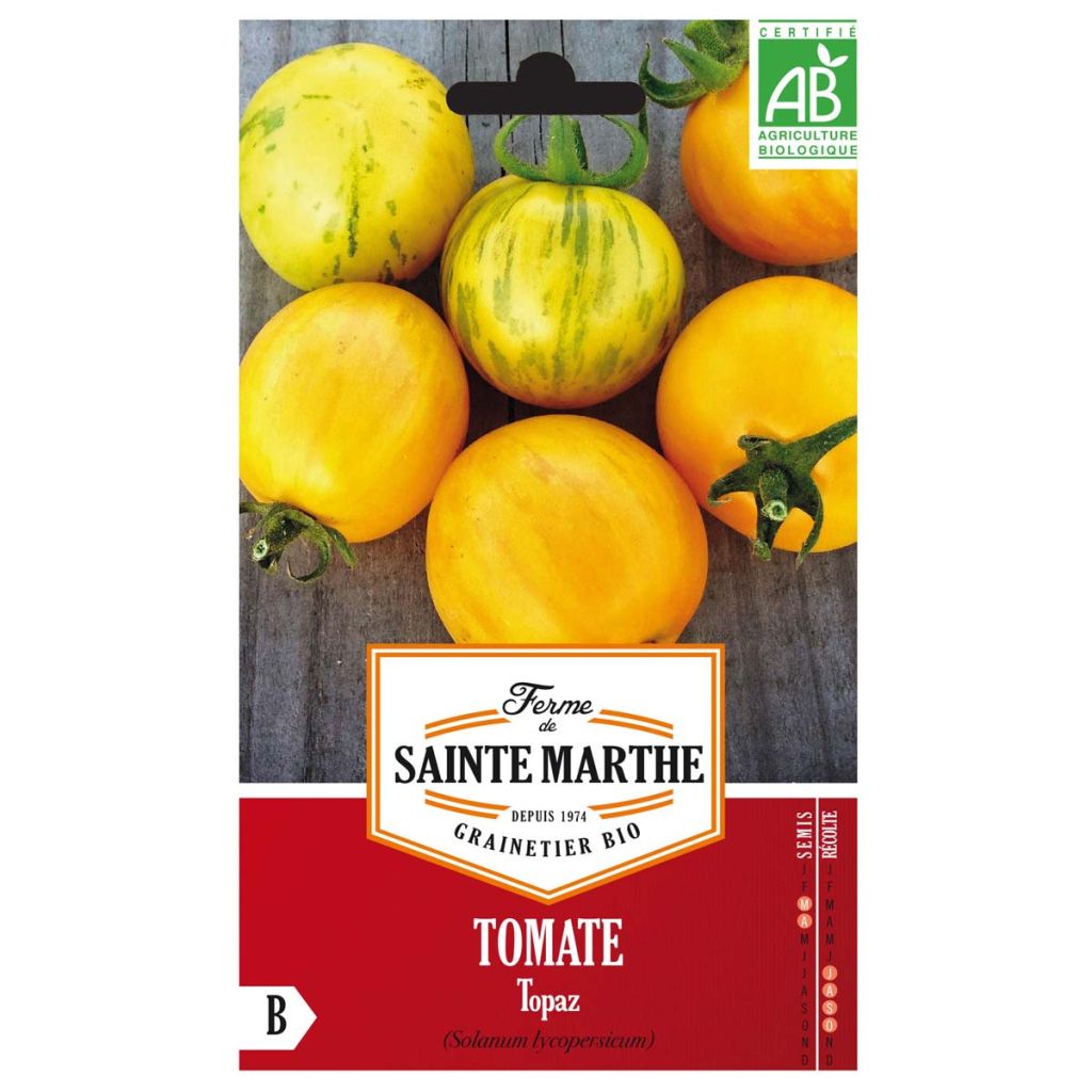 Tomate Topaz AB - Ferme de Ste Marthe