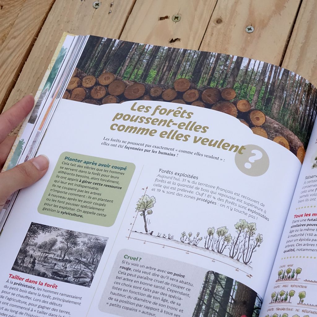 Tout, tout, tout sur les arbres