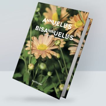 Annuelles & Bisannuelles - le guide