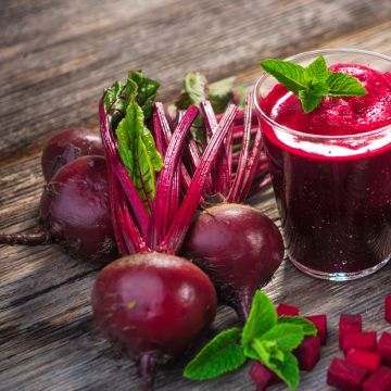 Betterave De Detroit Améliorée 2 race Bolivar - Ferme de Ste Marthe