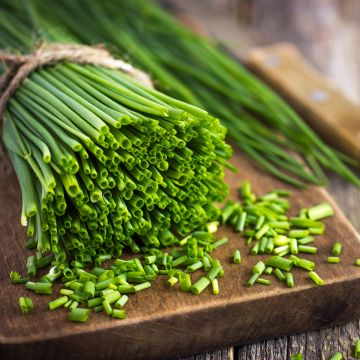 Ciboulette Appétits