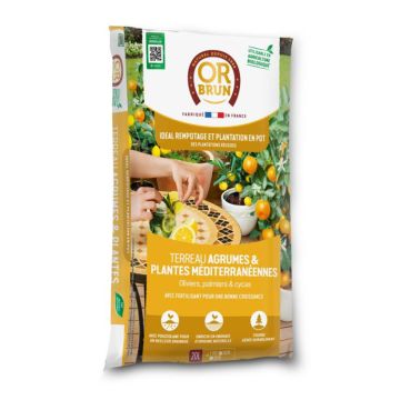 Terreau pour agrumes et plantes méditerranéennes en sac de 20L