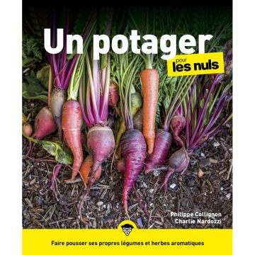 Un potager pour les Nuls