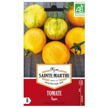 Tomate Topaz AB - Ferme de Ste Marthe
