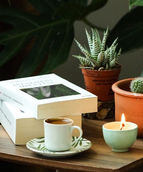 Découvrez nos livres sur les plantes d'intérieur