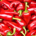 Graines de Piment