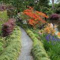 Plantes pour bordures